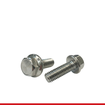 BOLTS-FLANGE SCREWS